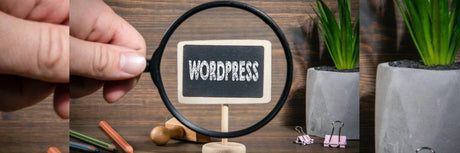 14 mejores plugins para WordPress