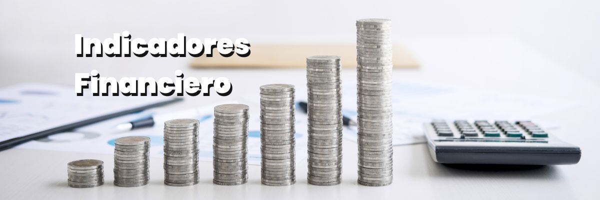 Indicadores Financiero: El Éxito de una Empresa