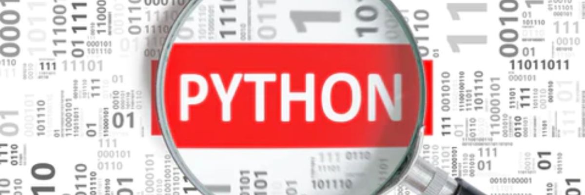 ¿Qué hace un desarrollador Python?