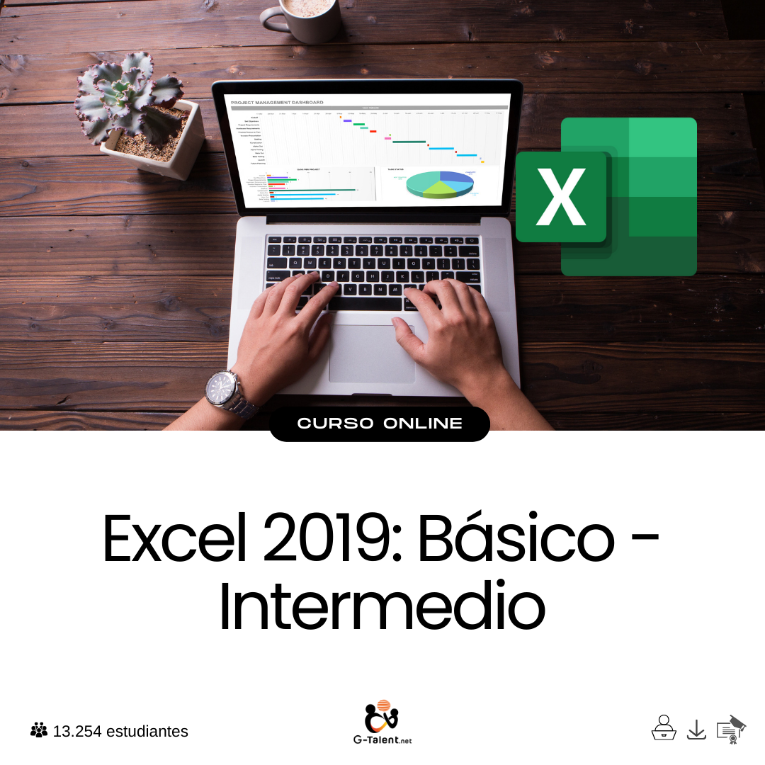 Excel 2019: Básico - Intermedio.