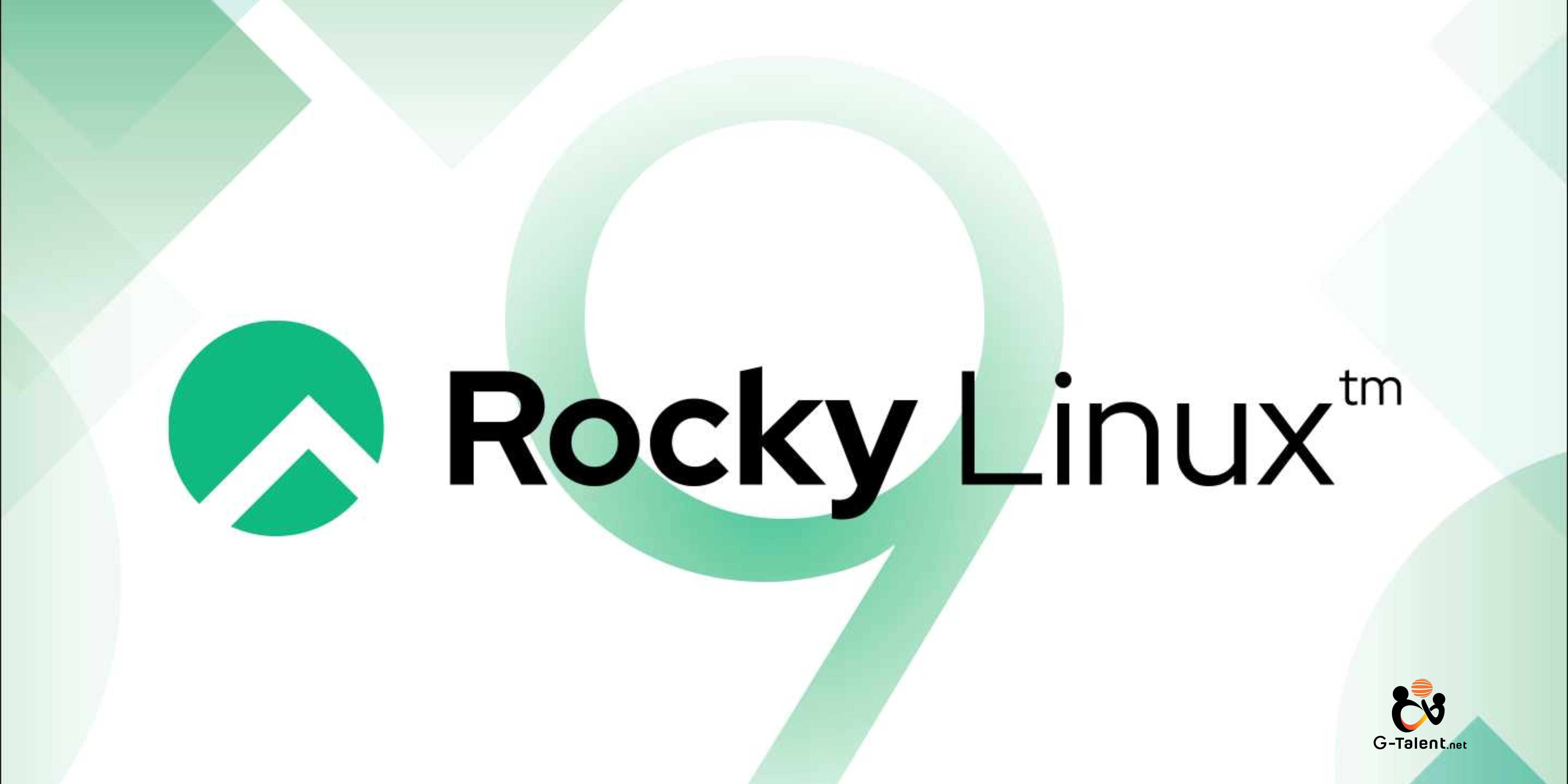 Rocky Linux Server: An Alternative to Red Hat