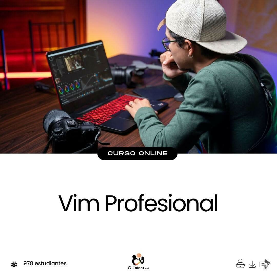 Vim Profesional